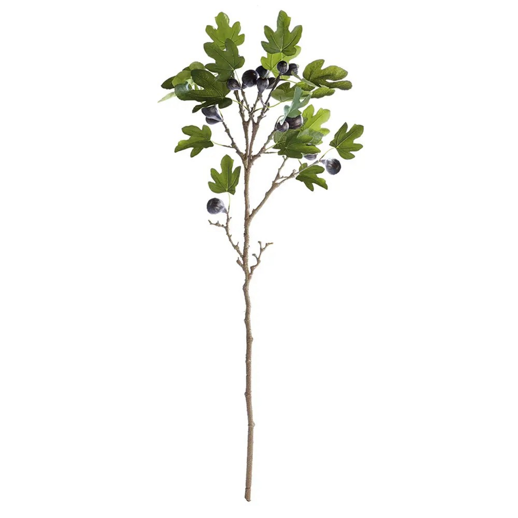 46" fig branch with figs