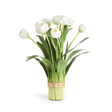 peony tulip in white (18")