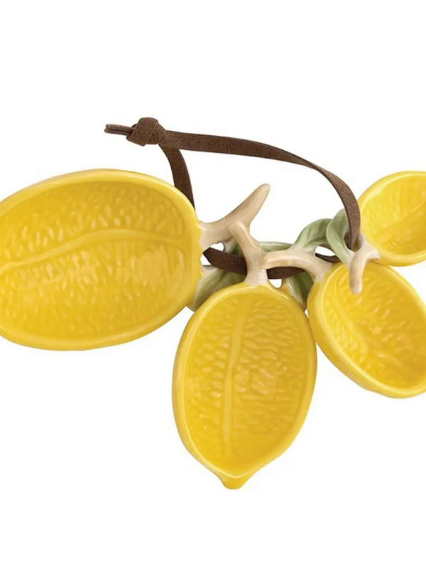 Lemon Measuring Spoons - Set