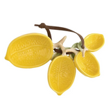 Lemon Measuring Spoons - Set