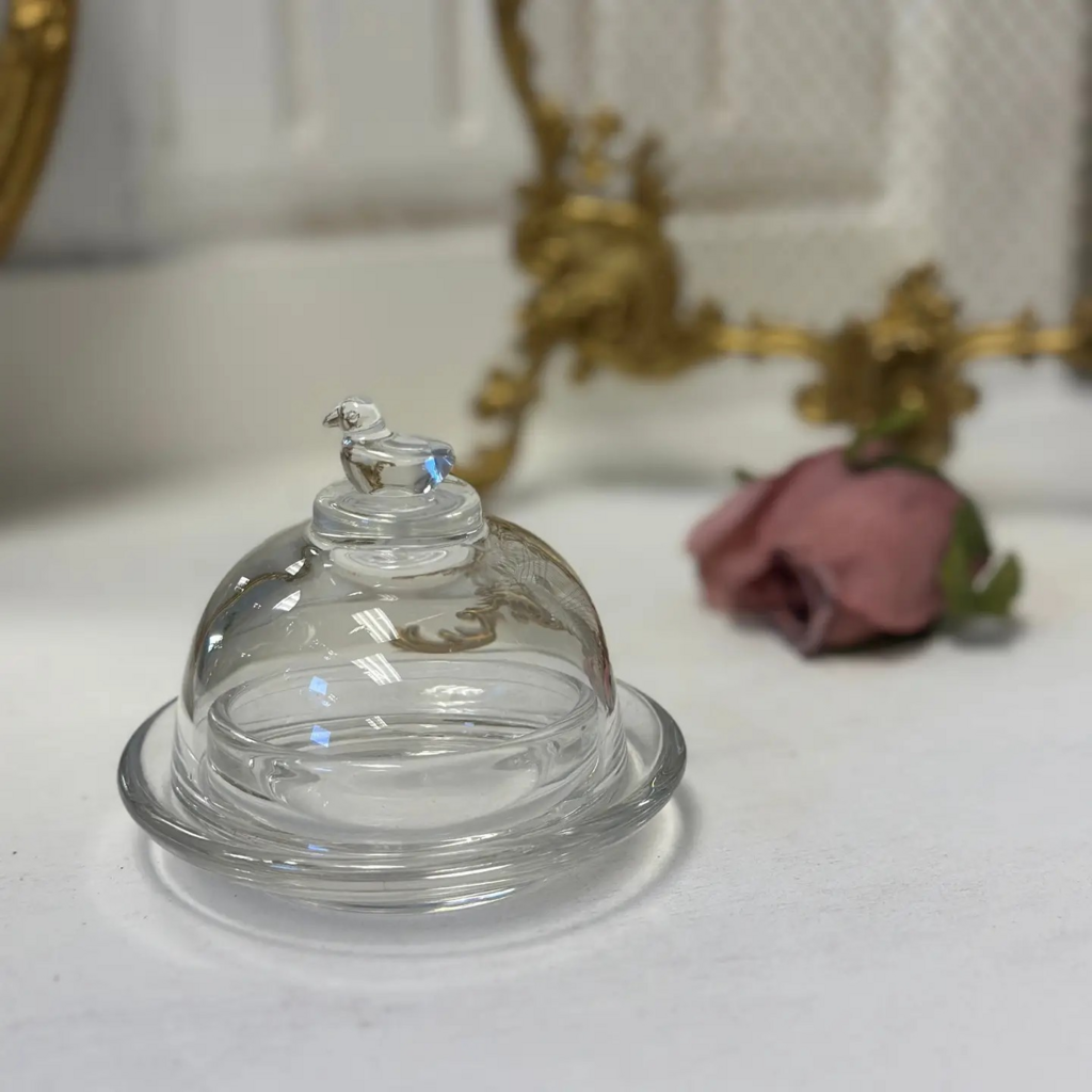 glass bird cloche