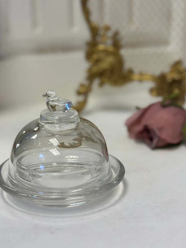 glass bird cloche
