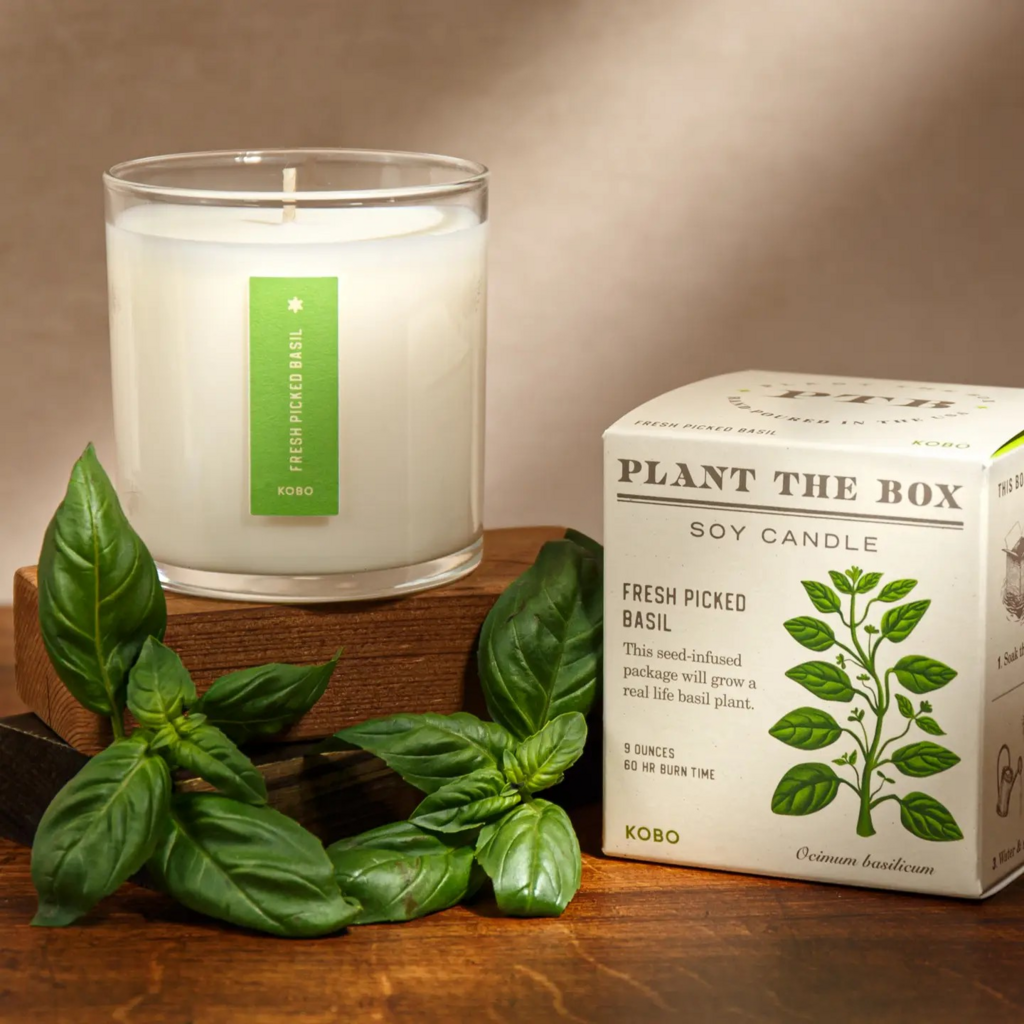 Fresh Pick Basil Candle, 9oz