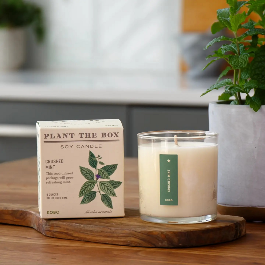 Crushed Mint Candle, 9oz