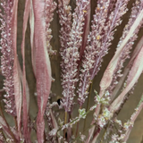 15" finger thistle bunch in pink