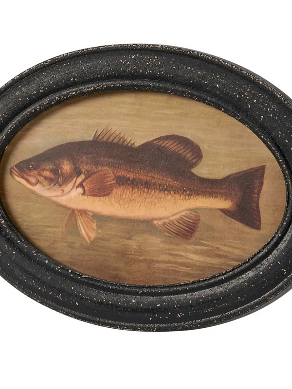 bass hanging decor