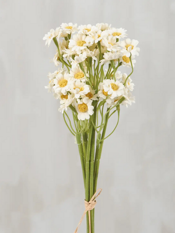 Miniature Daisies Bouquet