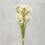 Miniature Daisies Bouquet