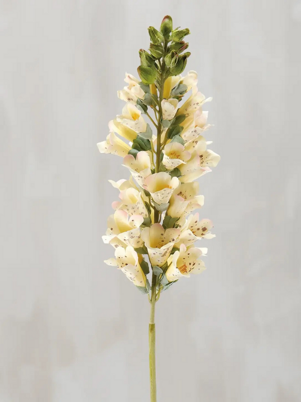 Yellow Foxglove Floral Pick