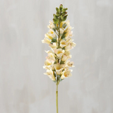 Yellow Foxglove Floral Pick