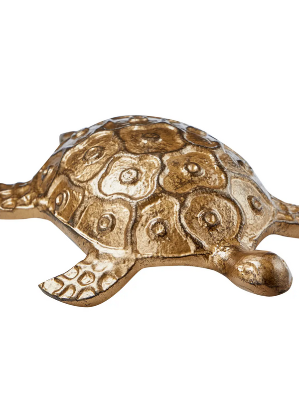 turtle garden decor