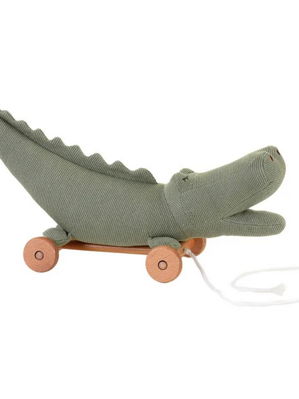 Pull-Along Croc