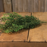 new england boxwood bush 19"