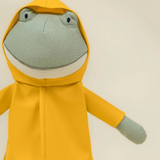 Frog Plush Toy