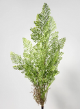 35in Rooted Fern Stem