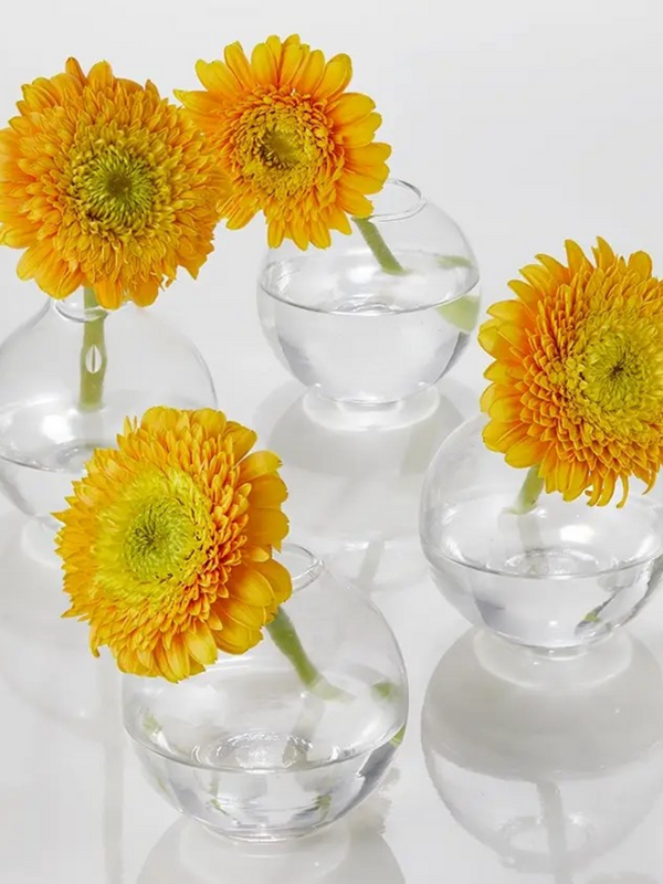 3in Ball Glass Bud Vase