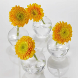 3in Ball Glass Bud Vase