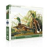 Mallard Ducks - 1000 Piece Jigsaw Puzzle