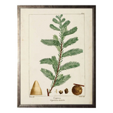 vintage cypress leaf bookplate on distressed background in gold frame