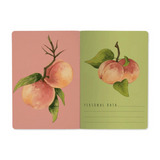 Peaches On the Tree Notebook