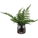 fern jar