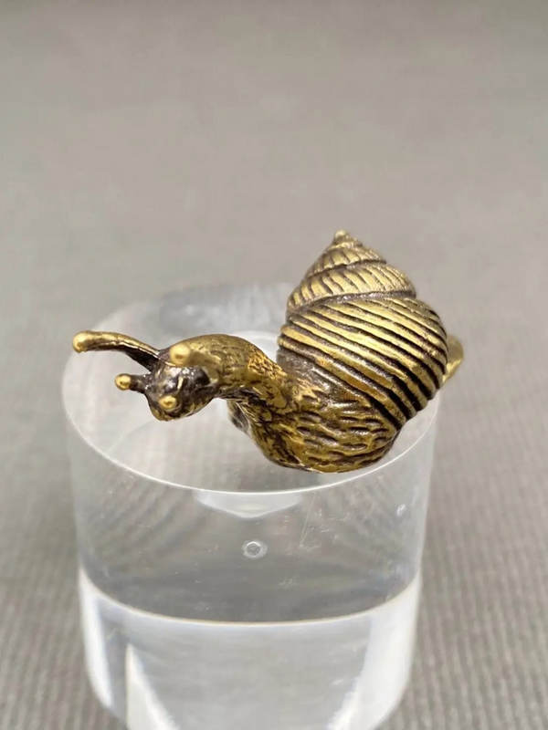 brass snail desktop decor
