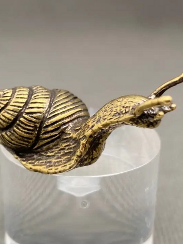 brass snail desktop decor