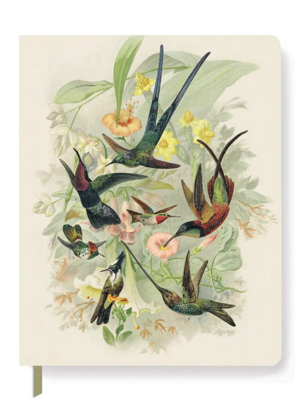 Hummingbirds Large Paperback Journal