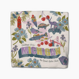 greetings from Michigan dishcloth set