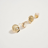 seashell pin set