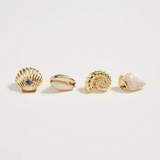seashell pin set