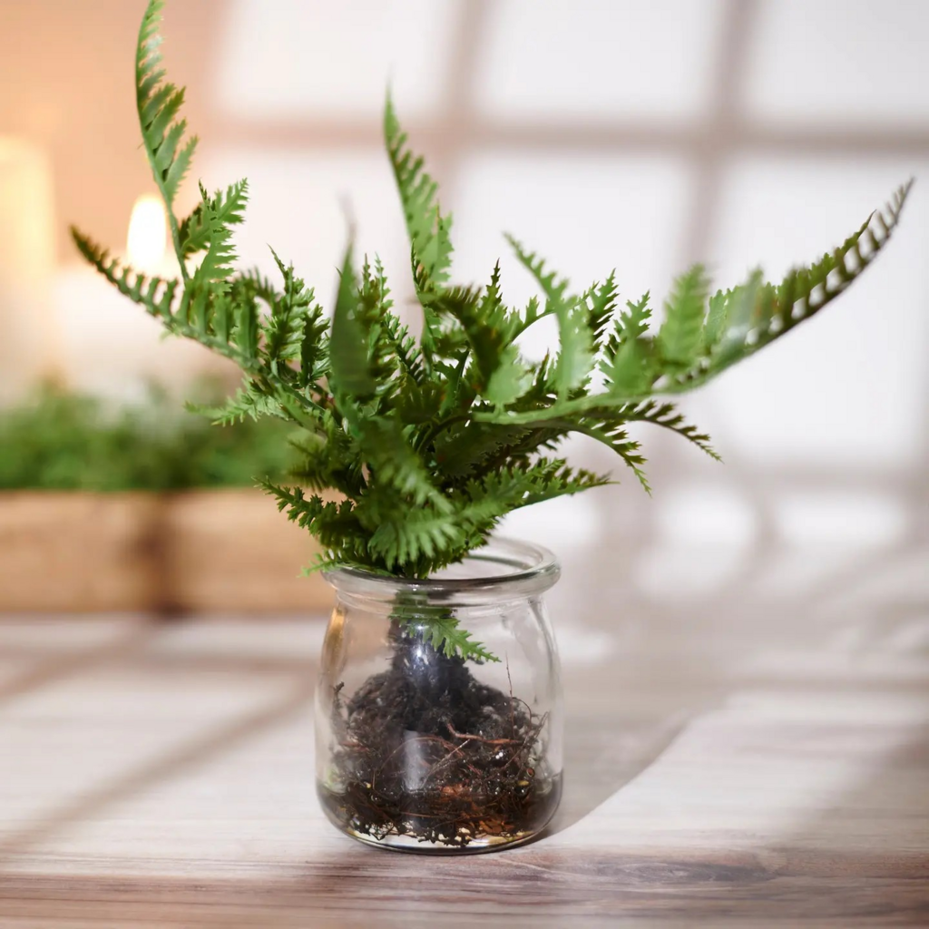 fern jar