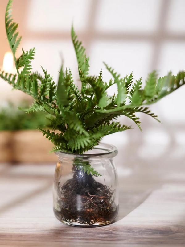 fern jar