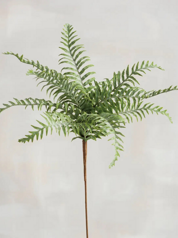 Marsh Fern Floral Pick