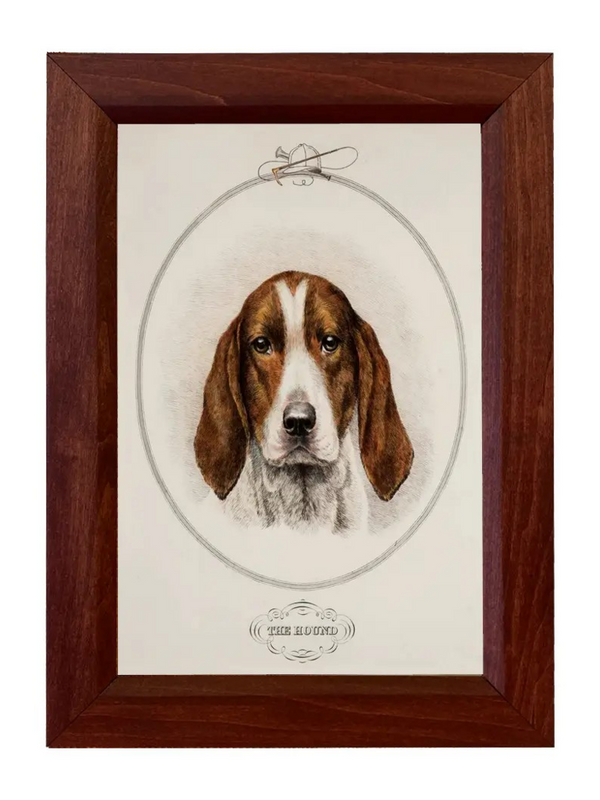 hound dog vintage print reproduction in solid mango wood frame