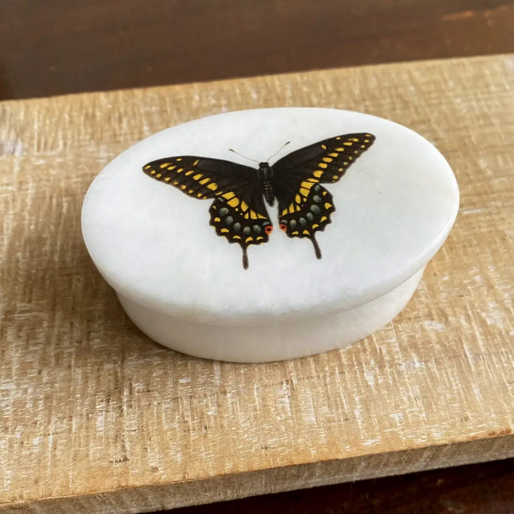 Eastern black swallowtail butterfly oval soapstone storage dish