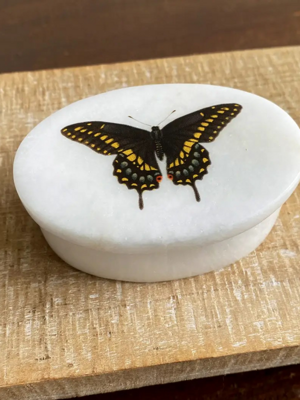 Eastern black swallowtail butterfly oval soapstone storage dish
