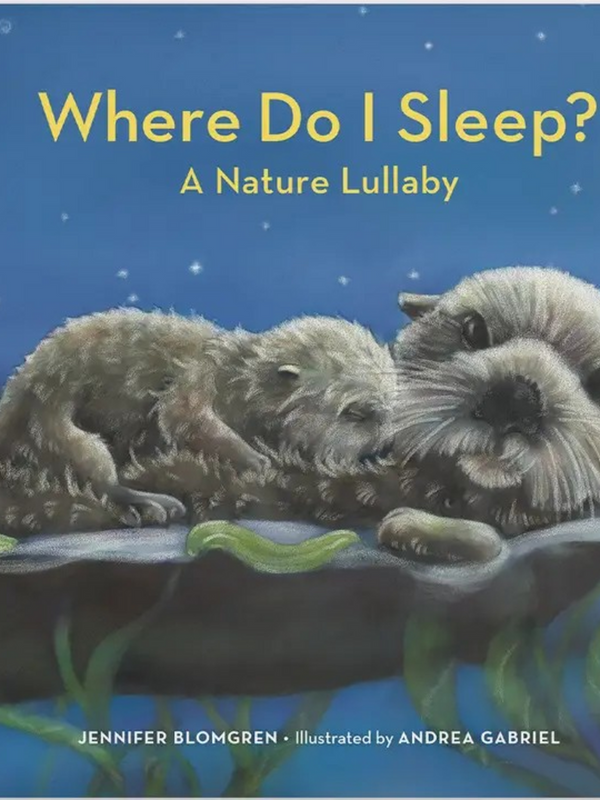 Where Do I Sleep?