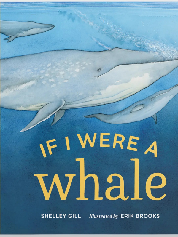 If I Were a Whale