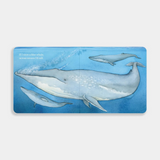 If I Were a Whale