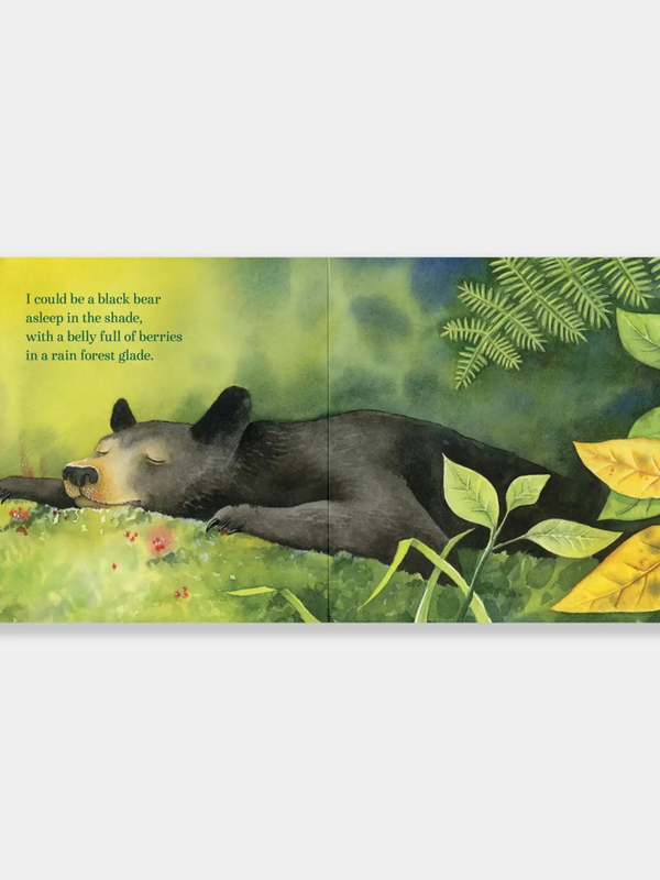 If I Were a Bear