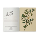 Notebook - Olive