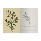 Notebook - Olive