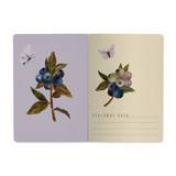 wild blueberry notebook