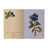 wild blueberry notebook