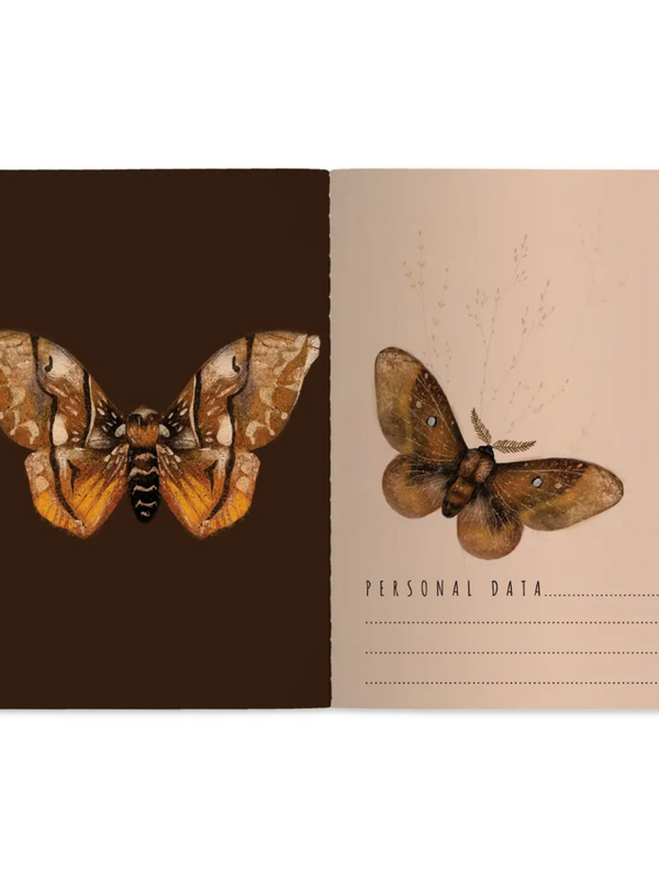 butterflies on blush notebook