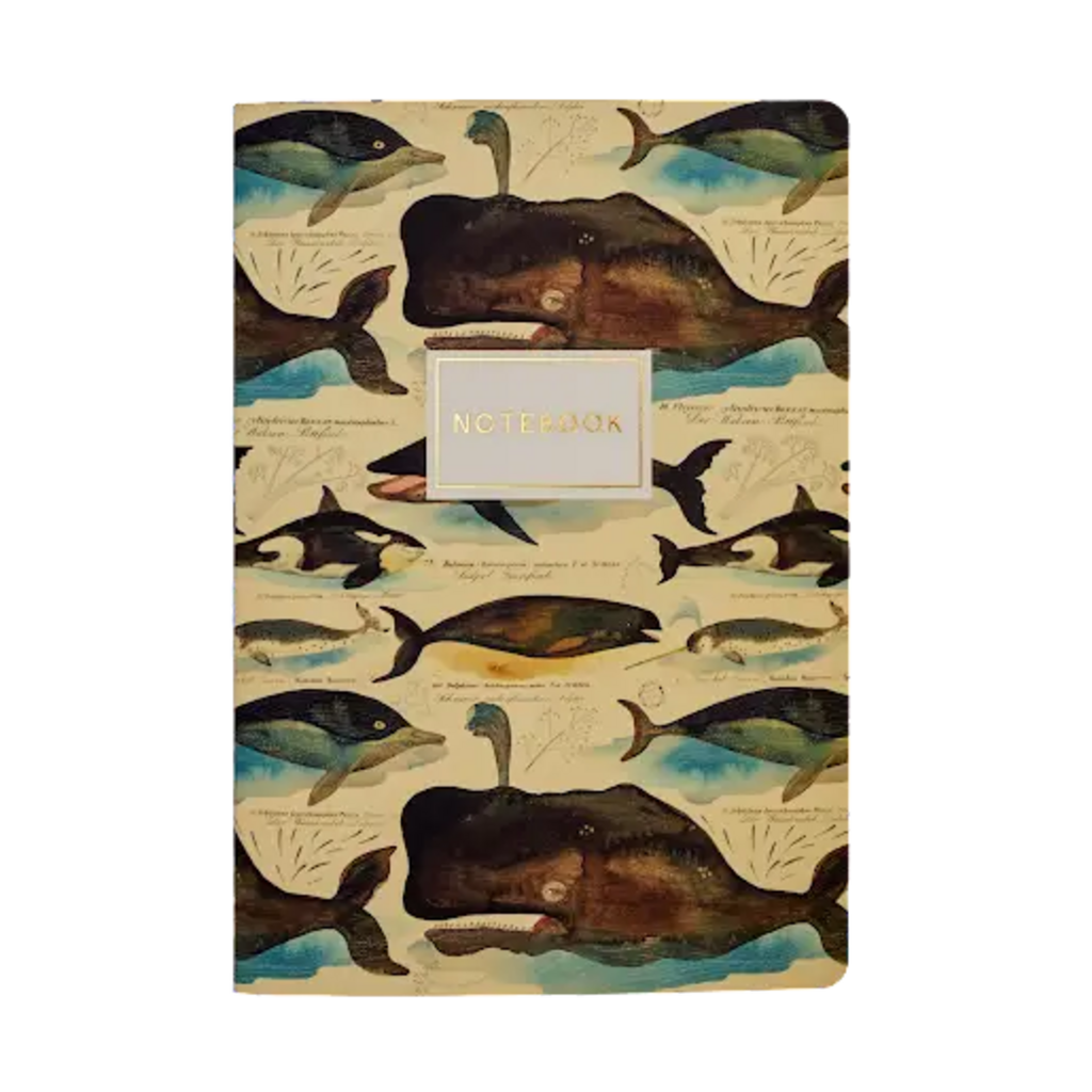 whales notebook