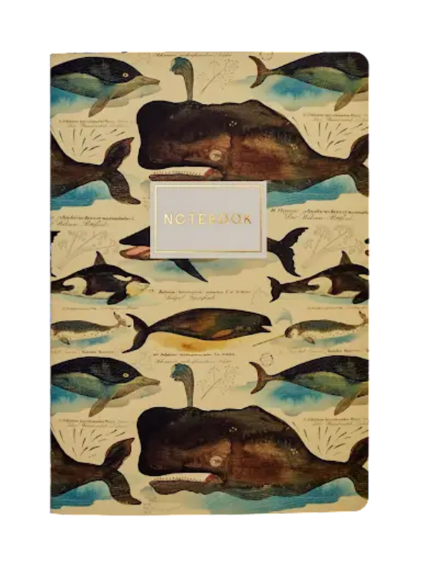 whales notebook