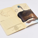 whales notebook