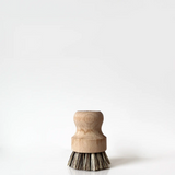 Mexican Palm Pot Cleaning Brush